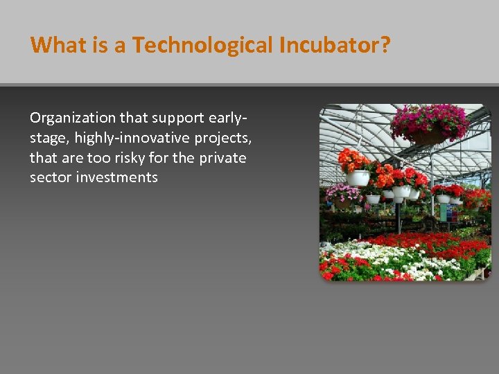 What is a Technological Incubator? Organization that support earlystage, highly-innovative projects, that are too