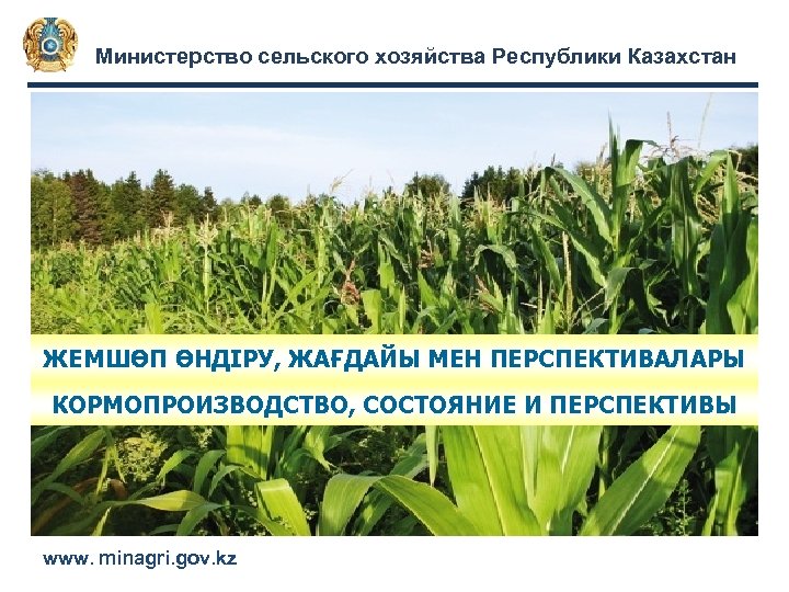 Министерство сельского хозяйства Республики Казахстан ЖЕМШӨП ӨНДІРУ, ЖАҒДАЙЫ МЕН ПЕРСПЕКТИВАЛАРЫ КОРМОПРОИЗВОДСТВО, СОСТОЯНИЕ И ПЕРСПЕКТИВЫ