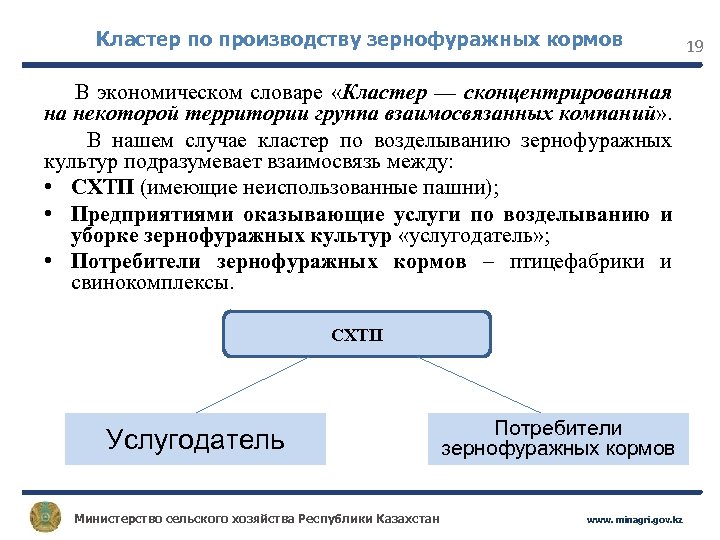 Кластер по производству зернофуражных кормов В экономическом словаре «Кластер — сконцентрированная на некоторой территории