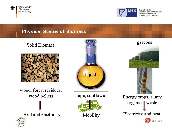 Physical States of Biomass Solid Biomass flüssig gaseous liquid wood, forest residues, wood pellets