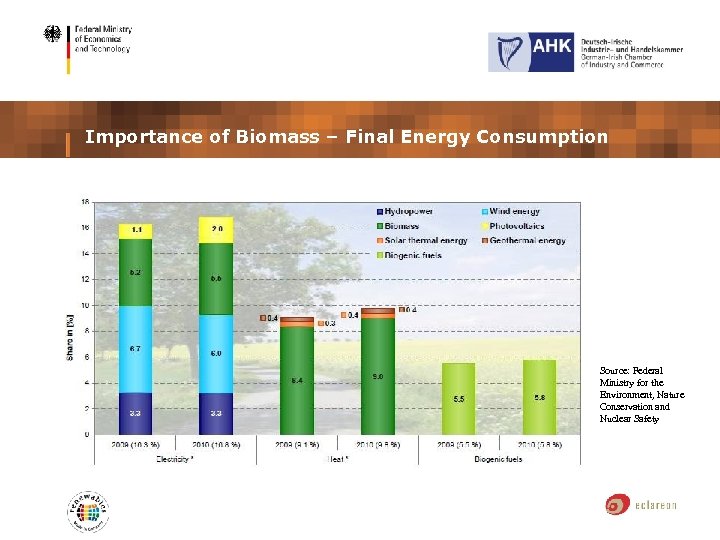 Importance of Biomass – Final Energy Consumption Source: Federal Ministry for the Environment, Nature