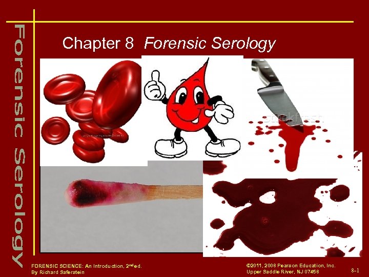 Chapter 8 Forensic Serology Courtesy of C. Fanning FORENSIC SCIENCE: An Introduction, 2 nd