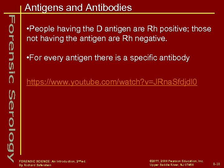 Antigens and Antibodies • People having the D antigen are Rh positive; those not