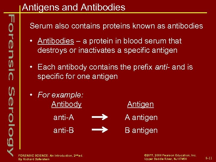 Antigens and Antibodies Serum also contains proteins known as antibodies • Antibodies – a