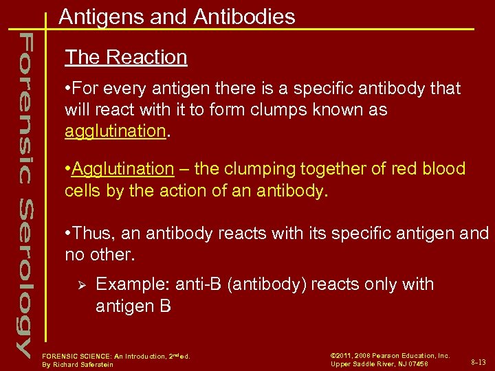 Antigens and Antibodies The Reaction • For every antigen there is a specific antibody