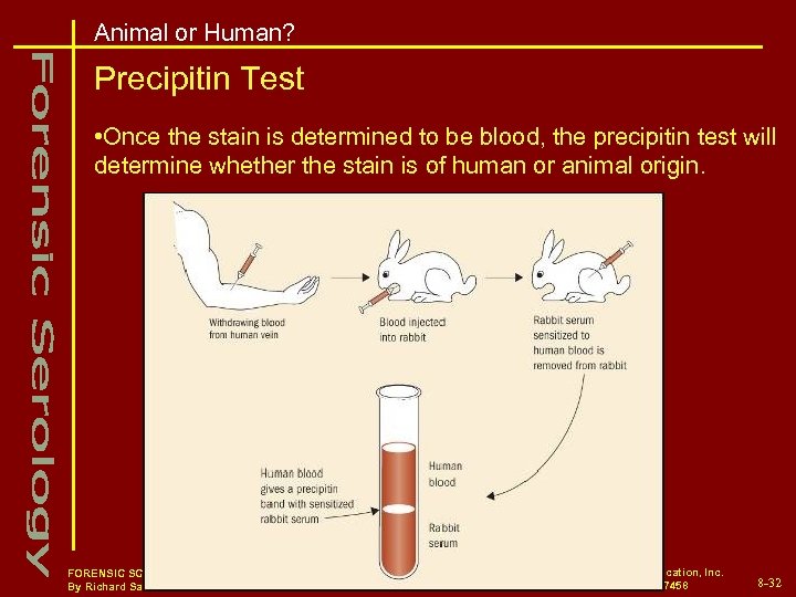 Animal or Human? Precipitin Test • Once the stain is determined to be blood,