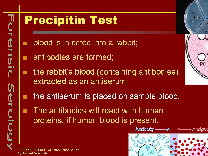 Precipitin Test n blood is injected into a rabbit; n antibodies are formed; n