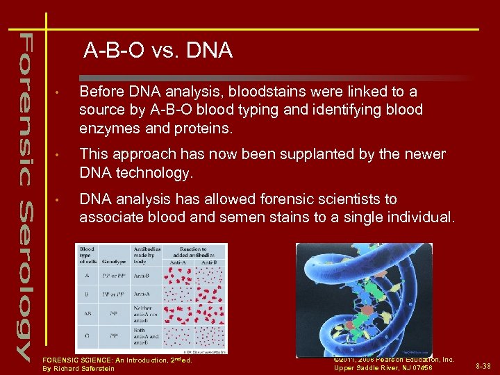 A-B-O vs. DNA • Before DNA analysis, bloodstains were linked to a source by