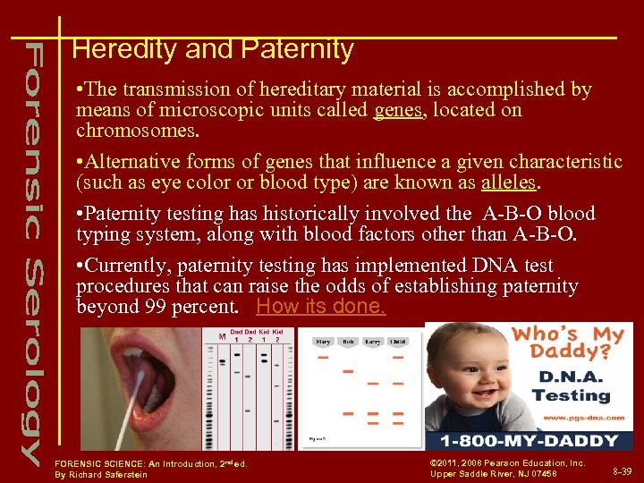 Heredity and Paternity • The transmission of hereditary material is accomplished by means of