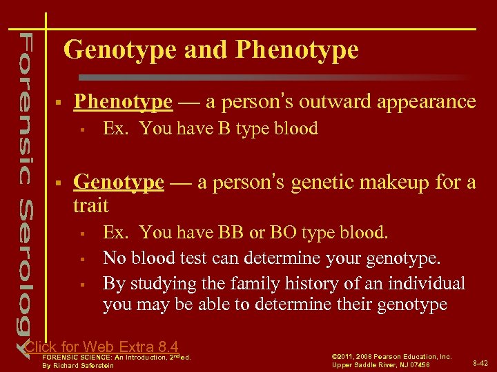 Genotype and Phenotype § Phenotype — a person’s outward appearance § § Ex. You
