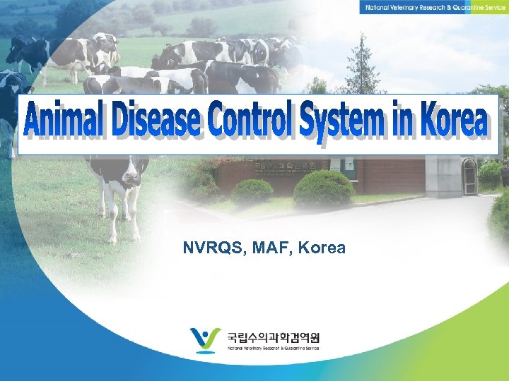 NVRQS, MAF, Korea National Veterinary Research & Quarantine Service 