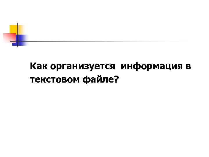 Как организуется информация в текстовом файле? 