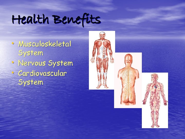 Health Benefits • Musculoskeletal • • System Nervous System Cardiovascular System 