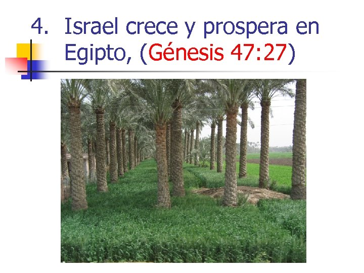 4. Israel crece y prospera en Egipto, (Génesis 47: 27) 
