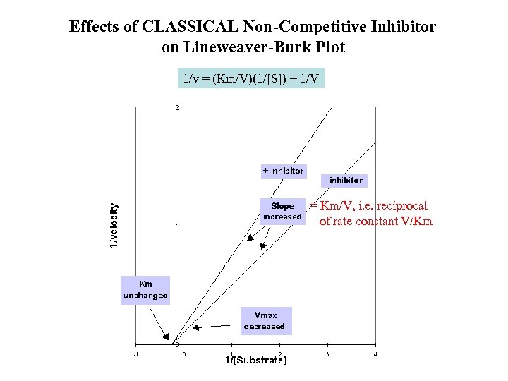 Effects of CLASSICAL Non-Competitive Inhibitor on Lineweaver-Burk Plot 1/v = (Km/V)(1/[S]) + 1/V =