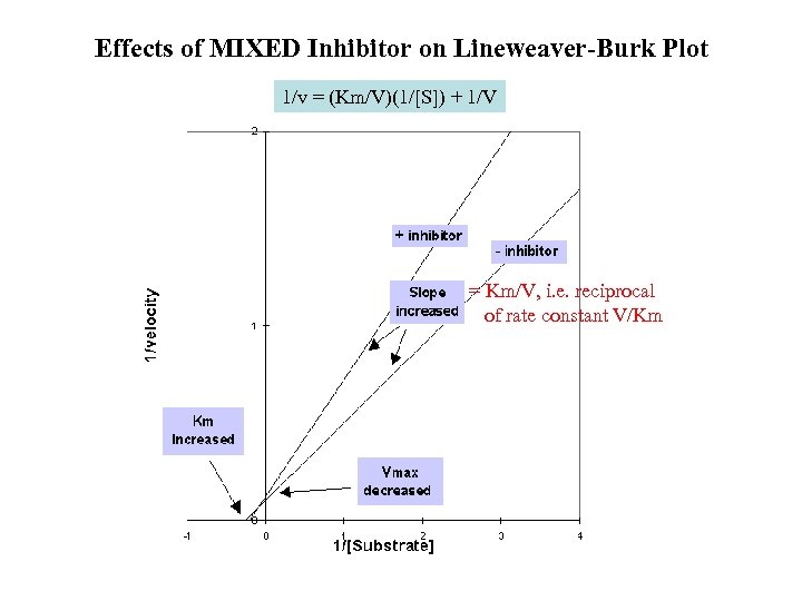 Effects of MIXED Inhibitor on Lineweaver-Burk Plot 1/v = (Km/V)(1/[S]) + 1/V = Km/V,