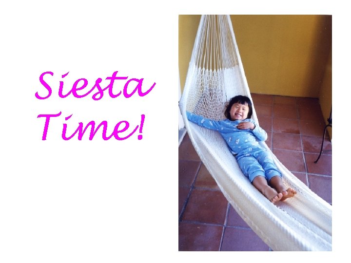 Siesta Time! 