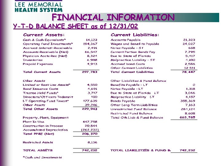 FINANCIAL INFORMATION Y-T-D BALANCE SHEET as of 12/31/02 