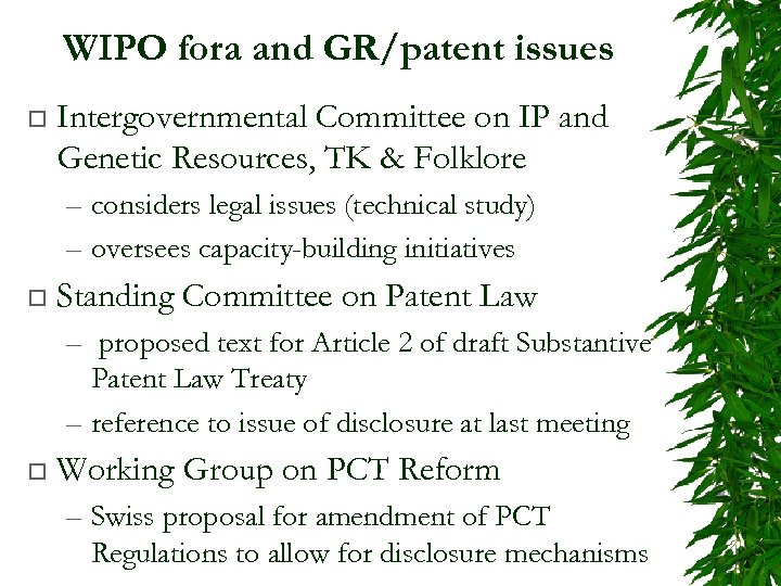 WIPO fora and GR/patent issues ¨ Intergovernmental Committee on IP and Genetic Resources, TK