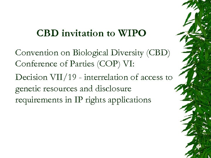 CBD invitation to WIPO Convention on Biological Diversity (CBD) Conference of Parties (COP) VI: