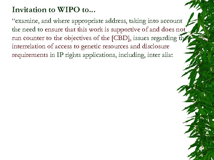 Invitation to WIPO to. . . “examine, and where appropriate address, taking into account