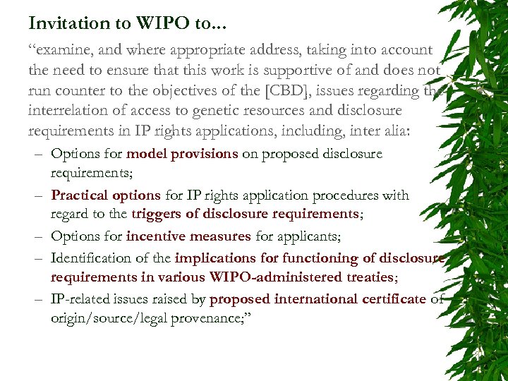 Invitation to WIPO to. . . “examine, and where appropriate address, taking into account