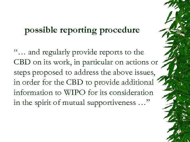 possible reporting procedure “… and regularly provide reports to the CBD on its work,