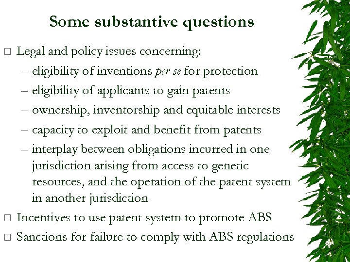 Some substantive questions ¨ ¨ ¨ Legal and policy issues concerning: – eligibility of