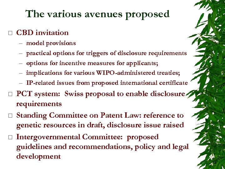 The various avenues proposed ¨ CBD invitation – – – ¨ ¨ ¨ model