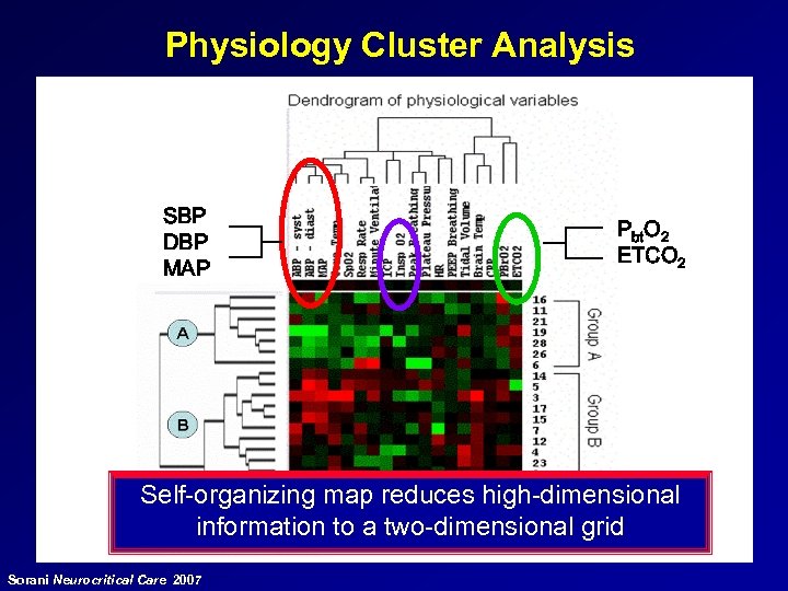 Physiology Cluster Analysis SBP DBP MAP Pbt. O 2 ETCO 2 Self-organizing map reduces