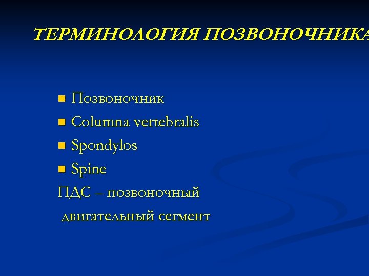 ТЕРМИНОЛОГИЯ ПОЗВОНОЧНИКА Позвоночник n Columna vertebralis n Spondylos n Spine ПДС – позвоночный двигательный
