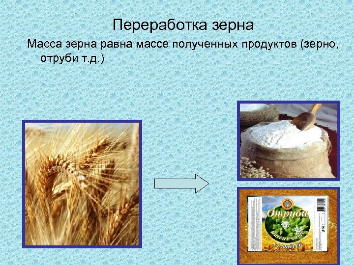 Переработка зерна Масса зерна равна массе полученных продуктов (зерно, отруби т. д. ) 