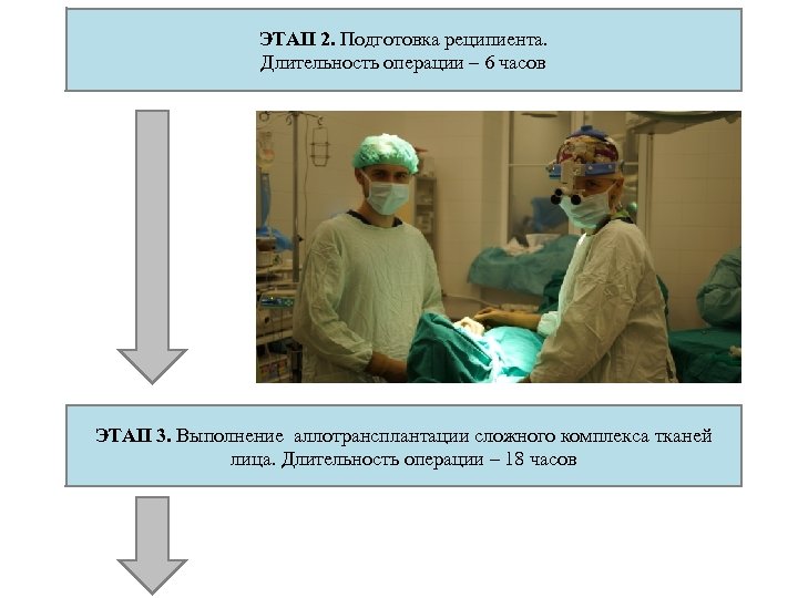 ЭТАП 2. Подготовка реципиента. Длительность операции – 6 часов ЭТАП 3. Выполнение аллотрансплантации сложного