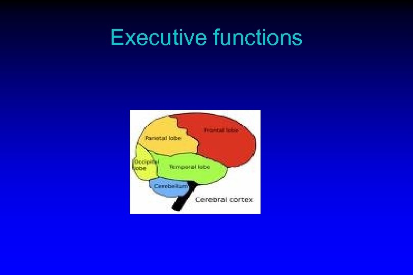 Executive functions 