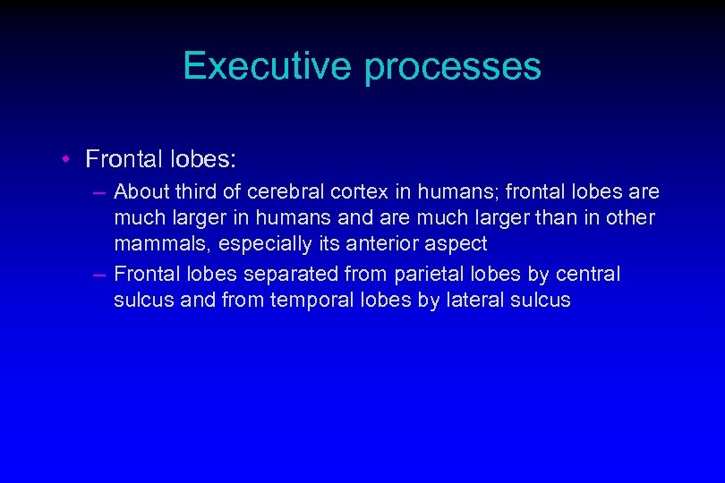 Executive processes • Frontal lobes: – About third of cerebral cortex in humans; frontal