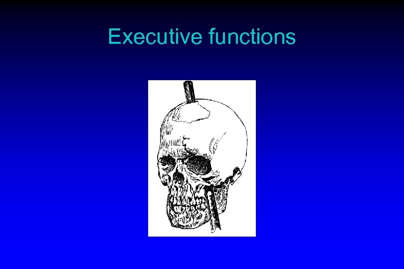 Executive functions 