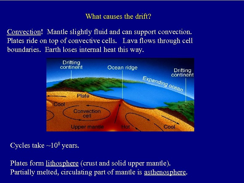 What causes the drift? Convection! Mantle slightly fluid and can support convection. Plates ride