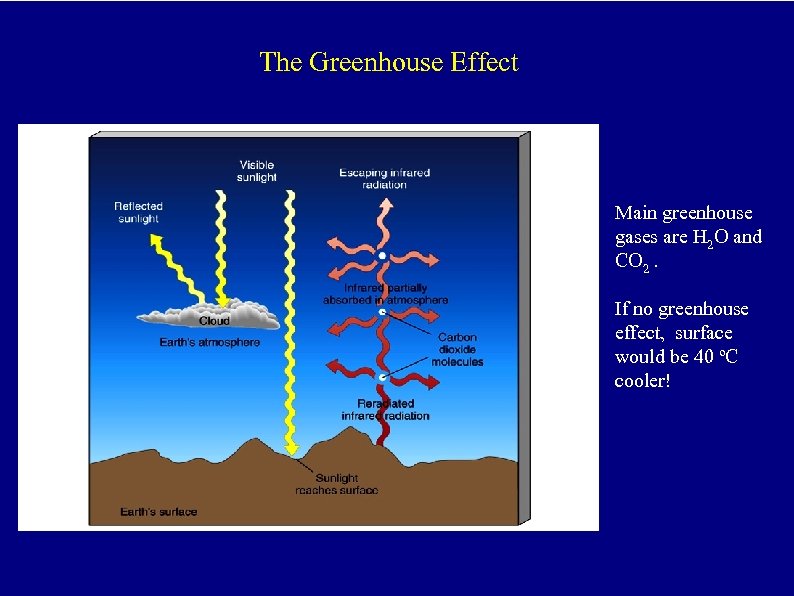 The Greenhouse Effect Main greenhouse gases are H 2 O and CO 2. If