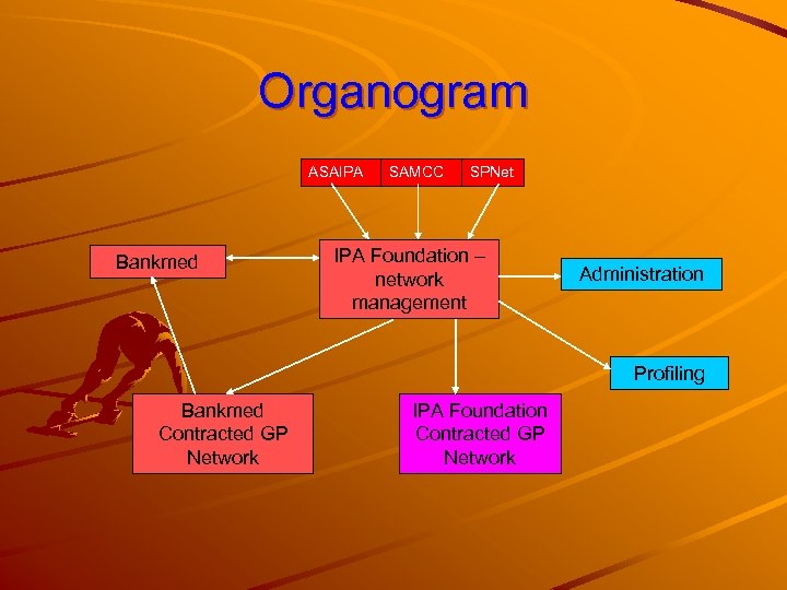 Organogram ASAIPA Bankmed SAMCC SPNet IPA Foundation – network management Administration Profiling Bankmed Contracted