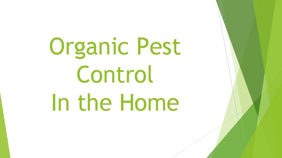 Organic Pest Control In the Home 