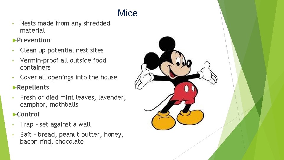 Mice • Nests made from any shredded material Prevention • Clean up potential nest