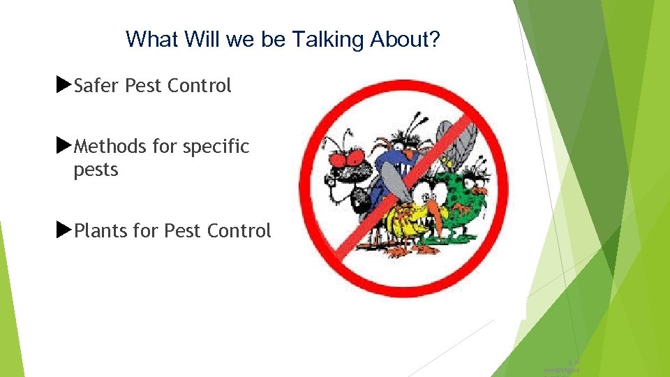 What Will we be Talking About? Safer Pest Control Methods for specific pests Plants