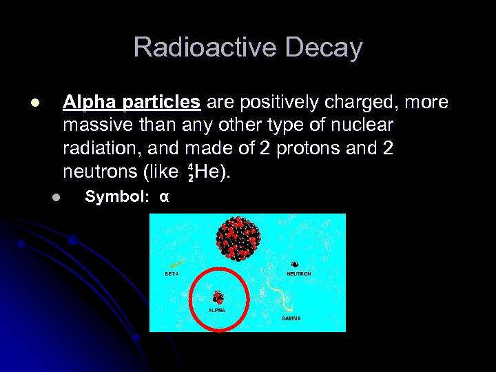 Radioactive Decay Alpha particles are positively charged, more massive than any other type of