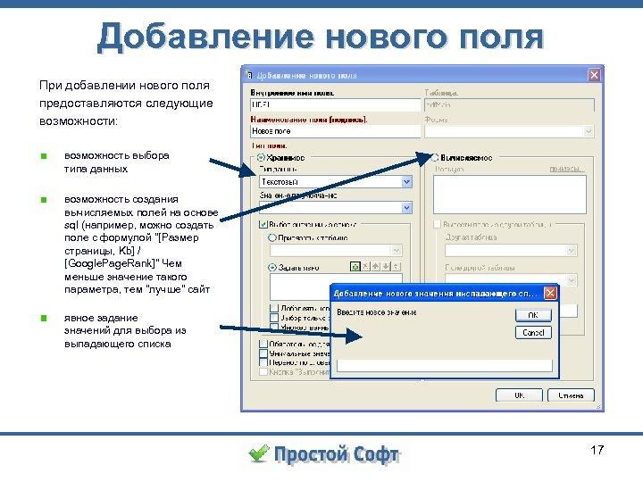Добавление нового поля При добавлении нового поля предоставляются следующие возможности: возможность выбора типа данных