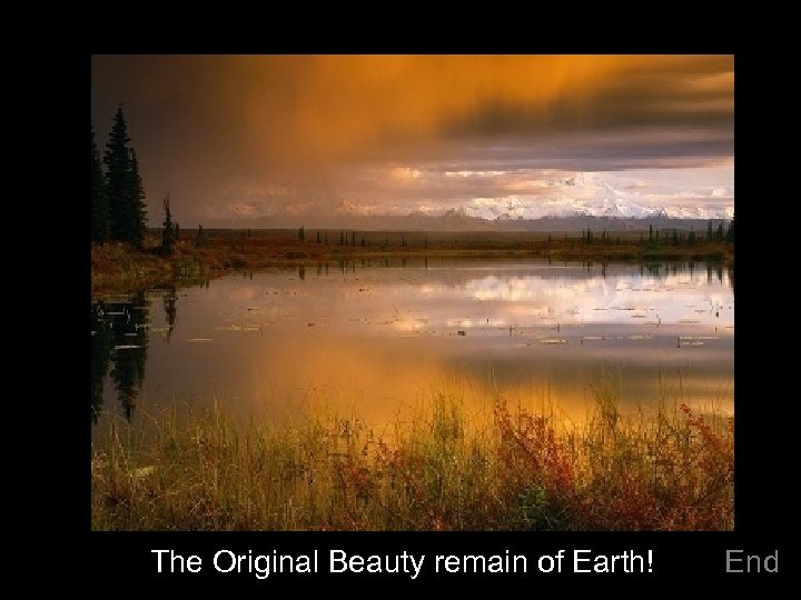 The Original Beauty remain of Earth! End 