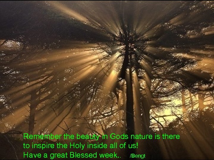 Remember the beauty in Gods nature is there to inspire the Holy inside all