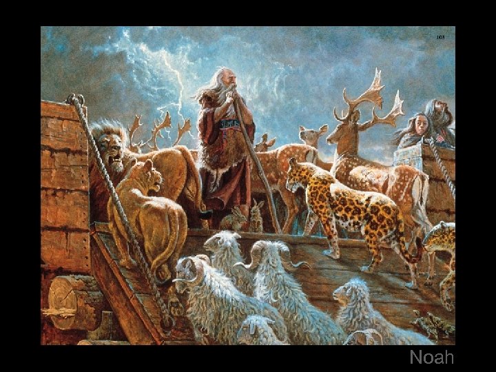 Noah 
