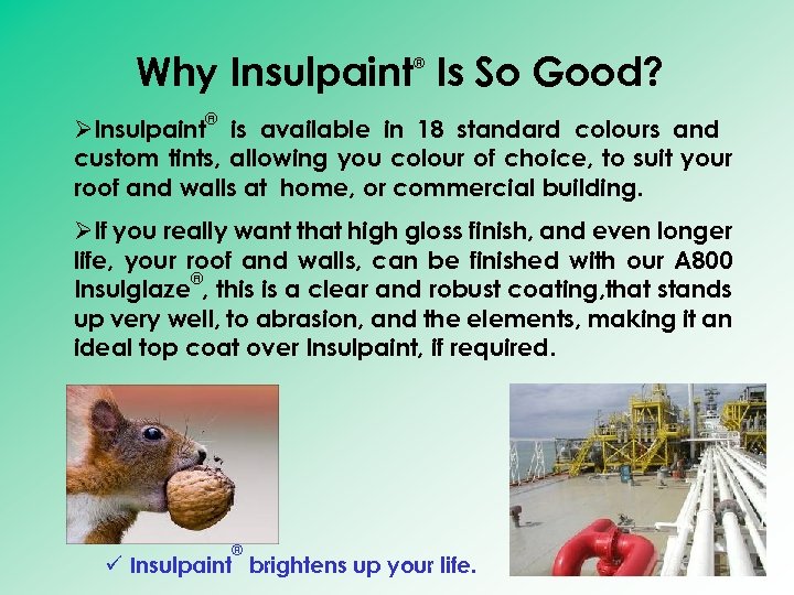 Why Insulpaint Is So Good? ® ® ØInsulpaint is available in 18 standard colours