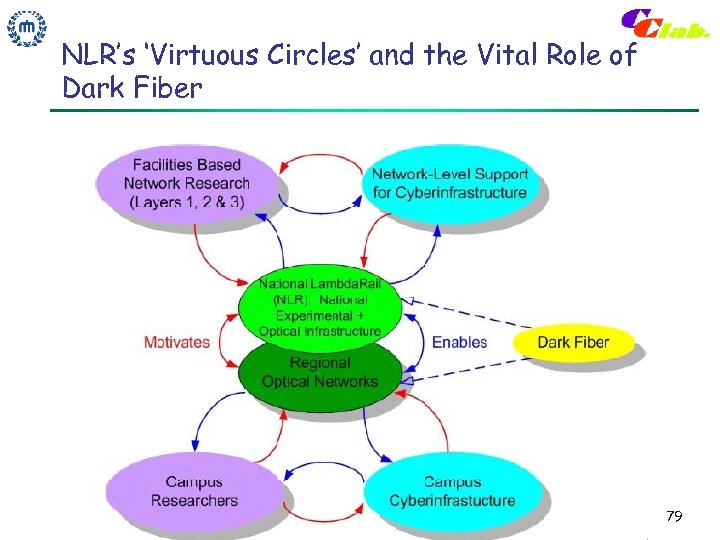 NLR’s ‘Virtuous Circles’ and the Vital Role of Dark Fiber 79 