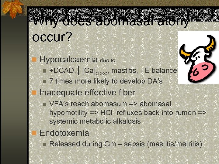 Why does abomasal atony occur? n Hypocalcaemia due to n +DCAD, [Ca]blood, mastitis, -